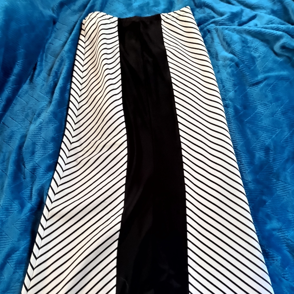 Medium NWT Skirt
